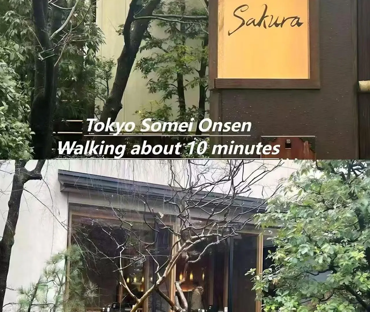 桜の川2 Sugamo Diamond Mansion 206 Direct To Ikebukuro Yamanote Line 5Mins Apartment Tokyo